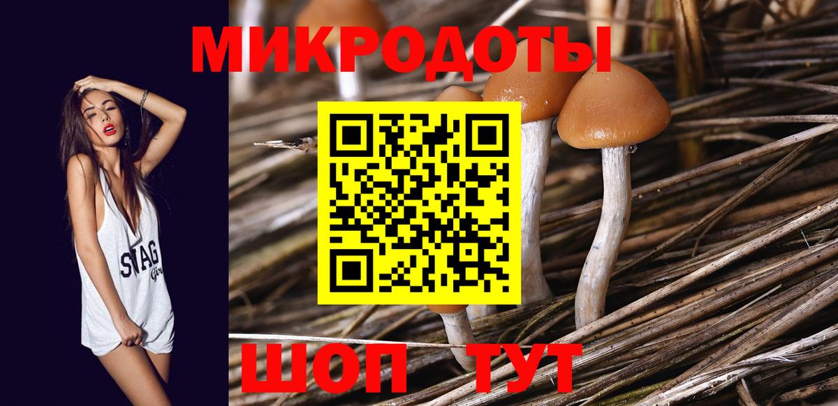 Галлюциногенные грибы ЛСД  что такое наркотик  Моршанск  Вход с VPN 