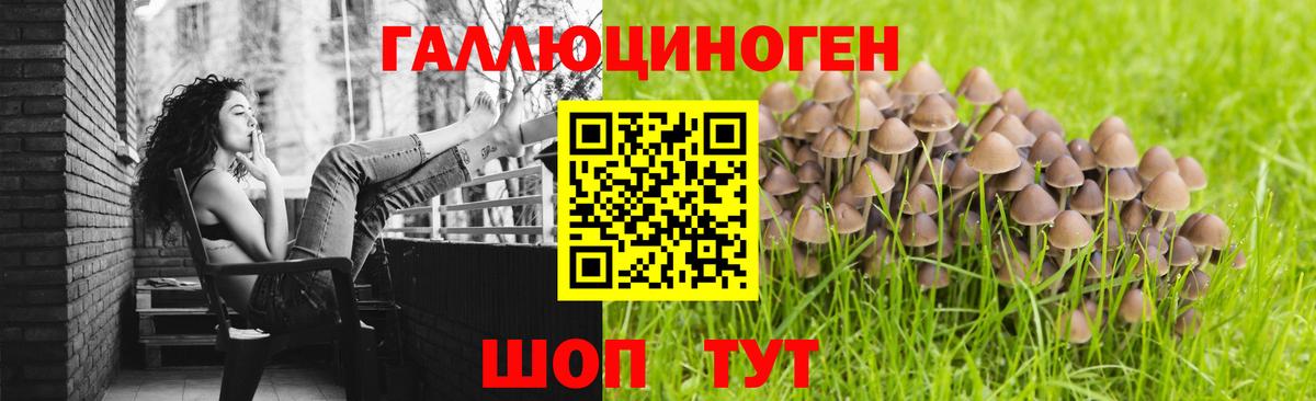 Галлюциногенные грибы мухоморы Моршанск
